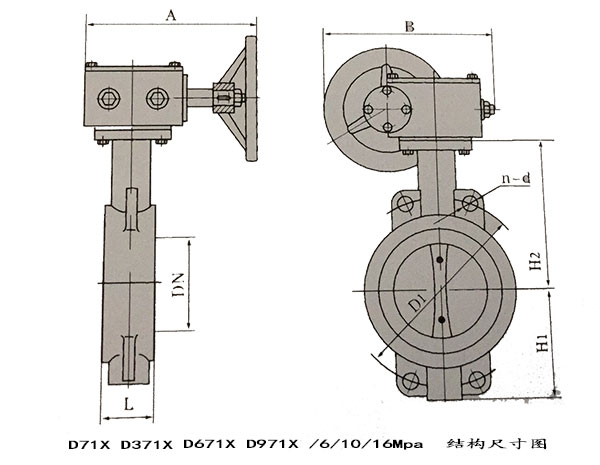 瑞奇閥門(mén)_對(duì)夾蝶閥結(jié)構(gòu)尺寸圖
